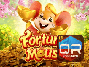 QRBET login — configurações de segurança e proteção de conta